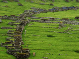 Houses in the Abandonded Village of Hirta