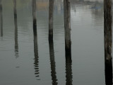 Six Wood Pilings Reflected in the Water at a Marina