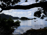 Morning on the Scottish Coast Along the South Morar Peninsula