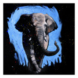 Elephant Walking