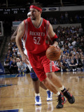 Houston Rockets v Dallas Mavericks: Brad Miller and Brendan Haywood