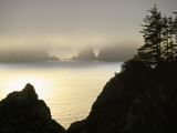Pacific Fog Cloaks Rocky Outcroppings at Puffin Cove