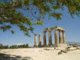 The Doric-Style 550 Bc Temple of Apollo and a Branch of an Olive Tree