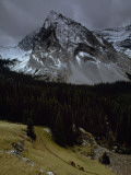Leading a Pack Mule Along Stony Creek  Beneath Mount Oliver  Banff National Park  Canada