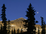The Moon Sets over Little Odaray Mountain  Lake O'Hara Region of Yoho National Park