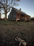 A Doll Lies Face Downward Near an Abandoned House