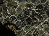 Serpentinite  Marked by Veins of Green in Scale Patterns  Tablelands  Gros Morne