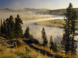 Veiled in Morning Mist  the Yellowstone River Winds Through Hayden Valley