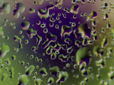 Close View of Water Drops on Glass