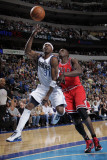 Chicago Bulls v Dallas Mavericks: Jason Terry and Luol Deng