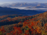 Fog Lying in Mountain Valleys in the Early Morning in Autumn