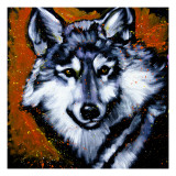 Grey Wolf