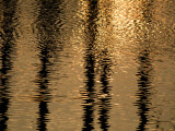 Reflections in the Ocean