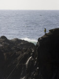 A Man's Fishing Line Shines in the Sunlight as He Fishes from a Rock