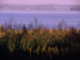 The Big Sandy River and Tennessee National Wildlife Refuge Beyond