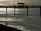 A Pier in Gulf Shores  Alabama