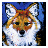 Dhole