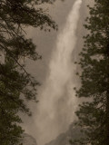 Bridalveil Fall in Yosemite National Park Framed by Two Pine Trees