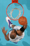 Dallas Mavericks v New Orleans Hornets: David West
