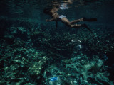 A Diver Above a Directional Sign on the Sea Floor