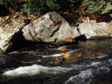 Water Rushing Past Boulders Along the Banks of the Nantahala River