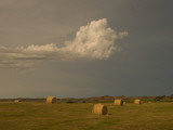 Cylindrical Hay Bales Reflect Late Afternoon Sun in the Grasslands