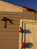Orange Gloves Accent a Fishing Camp Shed  Gros Morne Np  Newfoundland  Canada