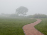 A Brick Pathway Winds Through Fog Enveloping the Groton Shoreline
