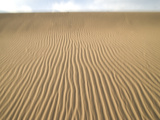 Ripples in Sand Dunes at Mesquite Dunes Near Stovepipe Wells