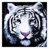 White Tiger