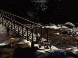 Woman and Dog Resting at a Footbridge across the Whitewater River
