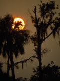 Sunset over Florida's Suwannee River