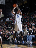 Austin Toros v Texas Legends: Rashad McCants