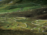 Drystone Wall Remnants of Saint Kilda's Main Settlement