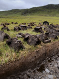 Peat Cutting on the Isle of Lewis