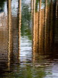 Reflections in a Lagoon
