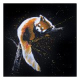 Red Panda In A Tree