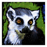 Ringtail Lemar
