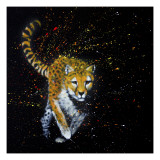 Cheetah Running