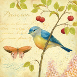 Garden Passion IV