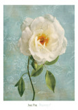 Purity I