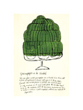 Wild Raspberries  c1959 (green)