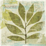 Woodland Thoughts II