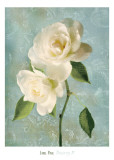 Purity II