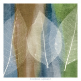 Leaf Structure II