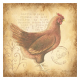 Provincial Rooster II