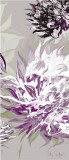 Purple Allure III