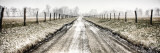 Picket Path