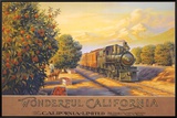 Wonderful Califonia
