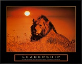 Leadership: Lion
